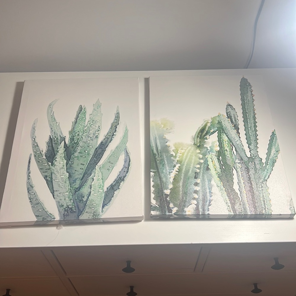 Cacti art decor